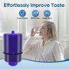 ICEPURE Faucet Water Filter Heavy Metals Removal Activated-4