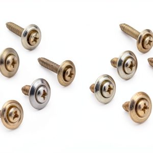 Chrome Trim Screw Assortment Dorman Universal Fit Panel Screws Chrome-0